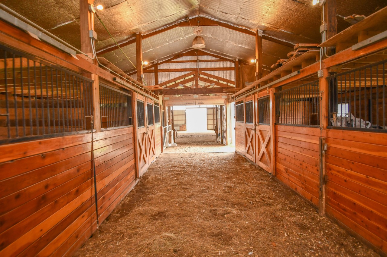 thumbnail_SS - Barn Stalls1